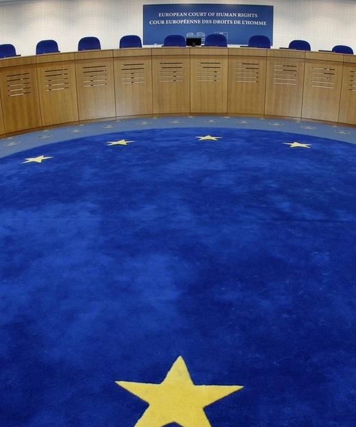 Європейський суд з прав людини: компетенція та основні засади діяльності